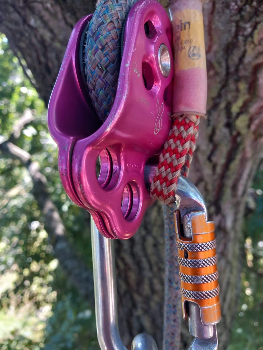 Close-up of rigging pulley and carabiner on climbing rope