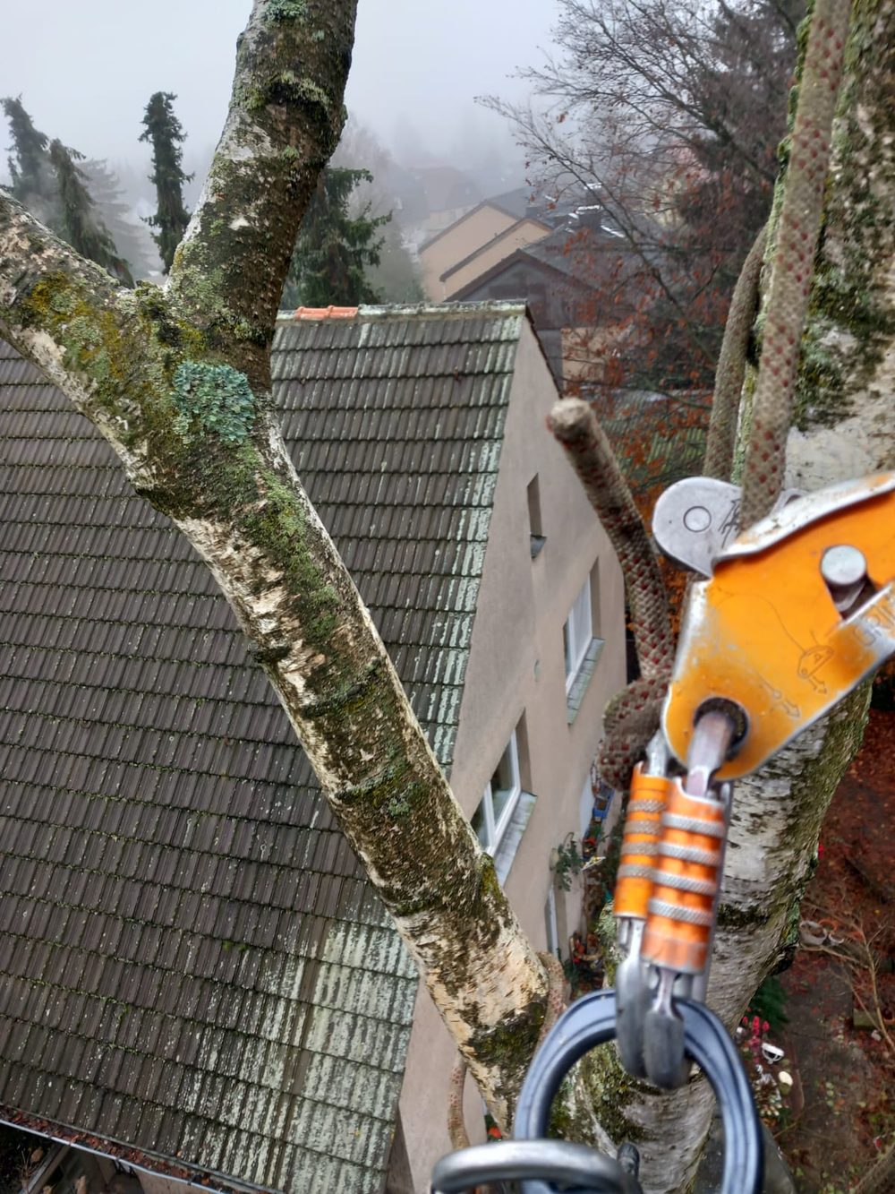 Close-up rigging block above a foggy rooftop